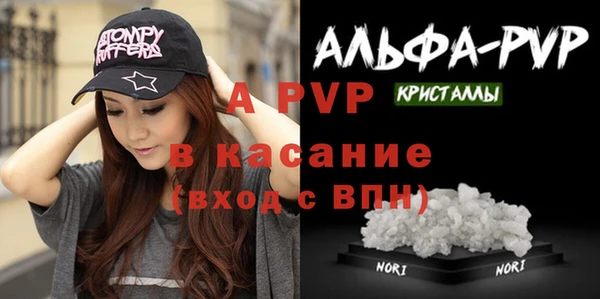 прущие грибы Козловка