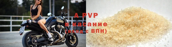 прущие грибы Козловка
