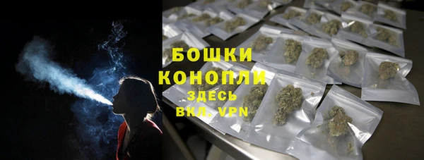 прущие грибы Козловка