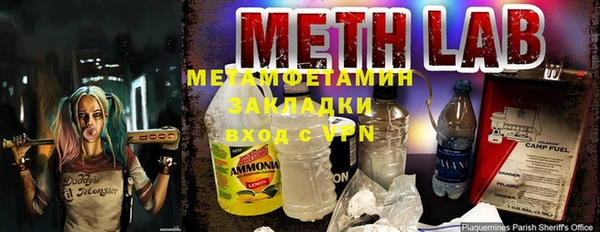 прущие грибы Козловка