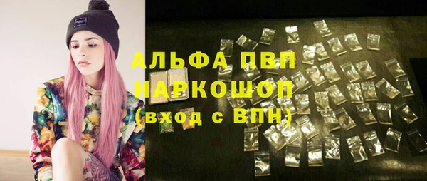 прущие грибы Козловка