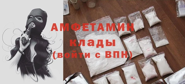 прущие грибы Козловка